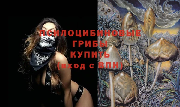 гидропоника Красноперекопск