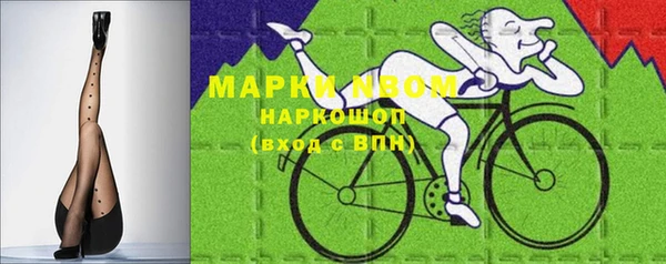 гидра Краснослободск