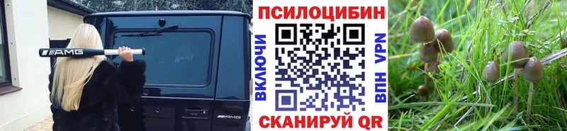 Галлюциногенные грибы мицелий Кремёнки
