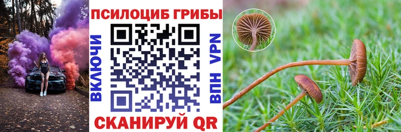 Галлюциногенные грибы ЛСД  Кремёнки 
